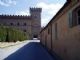 Bolgheri
