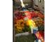 market